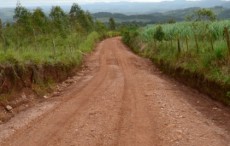 bairro-tamandua