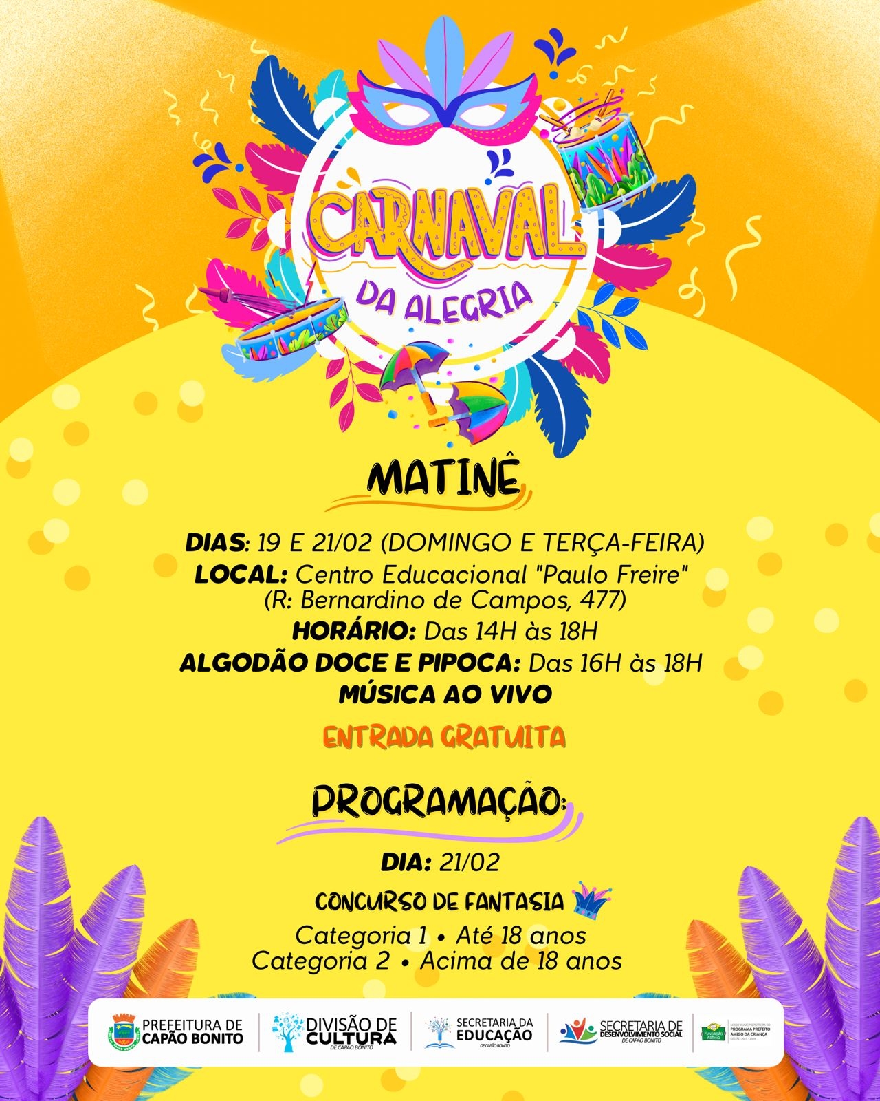 Fantasias de Carnaval Infantil e Adultos