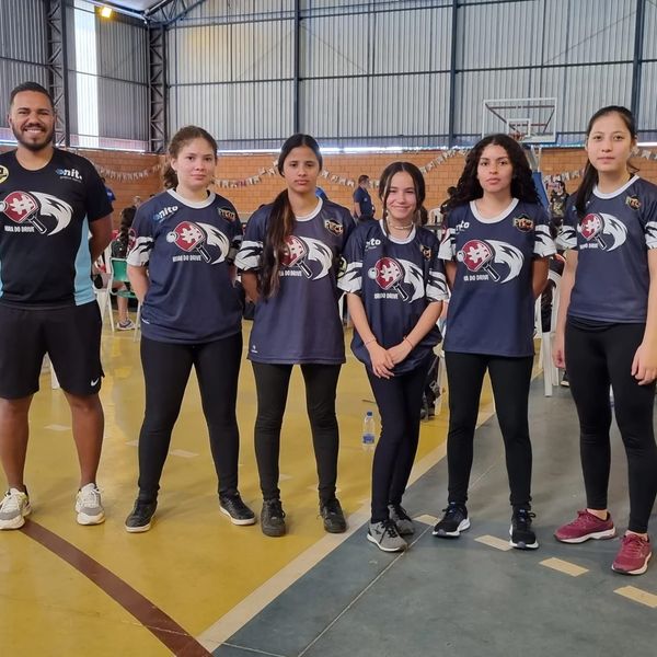 Equipe feminina de tênis de mesa se classifica para final estadual dos Jogos  Abertos da Juventude – Prefeitura Municipal de Capão Bonito