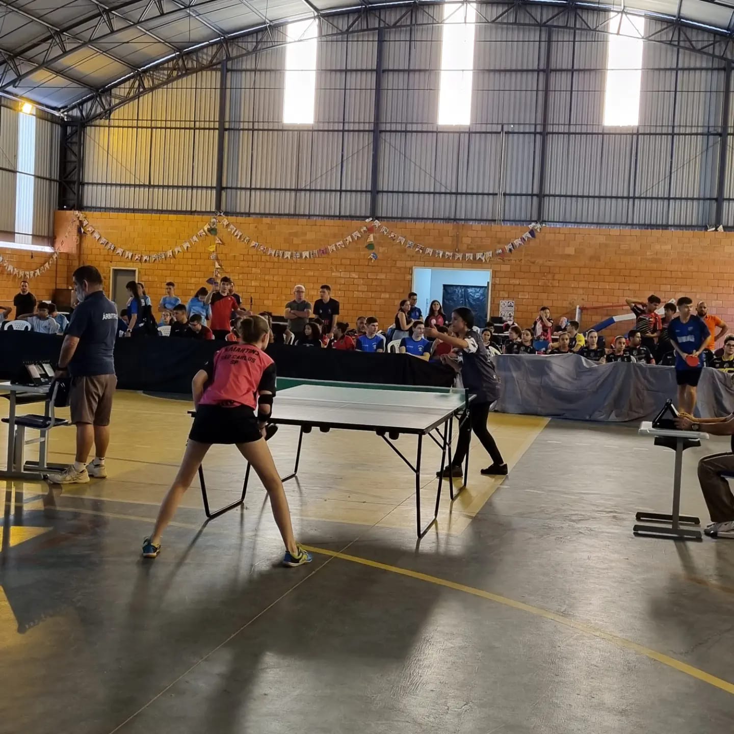 Equipe feminina de tênis de mesa se classifica para final estadual dos Jogos  Abertos da Juventude – Prefeitura Municipal de Capão Bonito