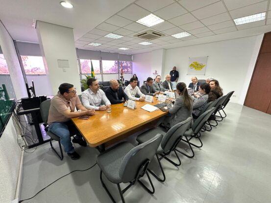 Prefeitos de Capão Bonito e Buri, vereadores e secretário voltam a pedir pavimentação da SP-250 e estadualização de vicinal em audiência no DER-SP