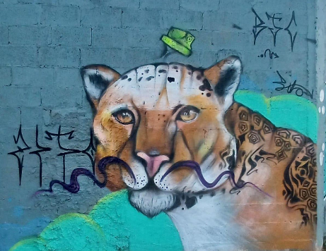 PORTFÓLIO GRAFITEIRO