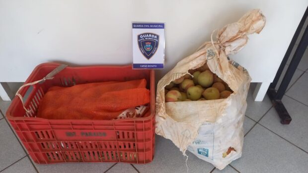 GCM detém dupla por furto de 42 kg de pêssegos no Setor Industrial 