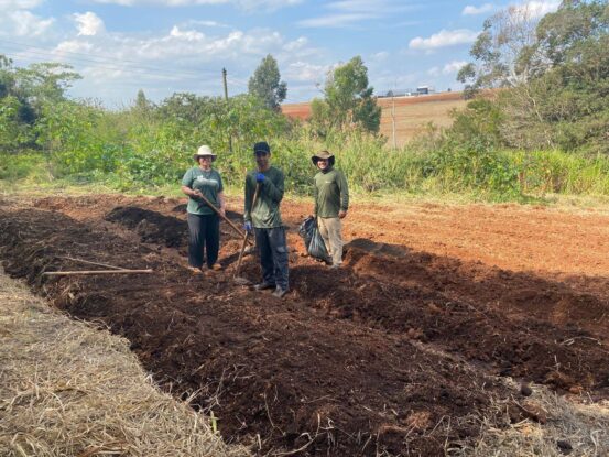 Projeto Horta Pedagógica transforma rotina escolar e incentiva hábitos saudáveis na E.M. Profª Celina Leonel Barreto da Silva 