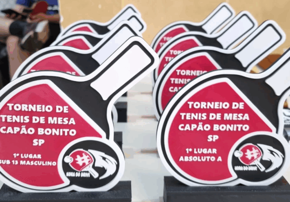 Torneio Regional de Tênis de Mesa foi um sucesso em Capão Bonito 