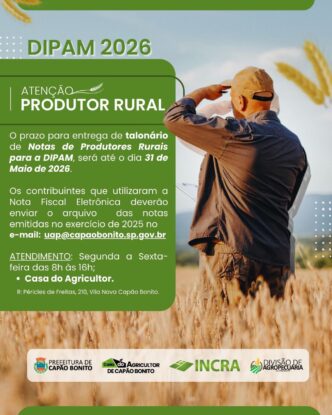 Produtores Rurais: prazo para entrega da DIPAM 2026 vai até 31 de maio