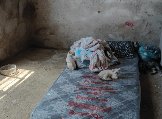 Ação integrada promove dignidade e cuidado a paciente em situação de acumulação 