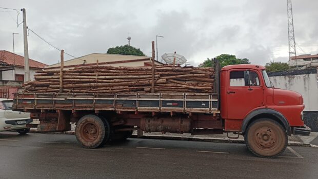 GCM flagra furto de madeira em área rural e detém dois indivíduos durante operação
