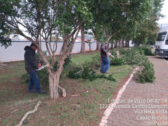 Capão Bonito intensifica campanha para erradicação da Murta e reforça combate ao Greening dos citros