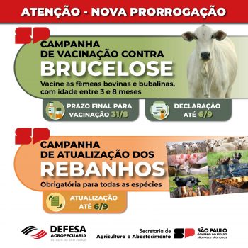 Sanidade-Animal-NOVA-PRORROGACAO-CAMPANHAS-2